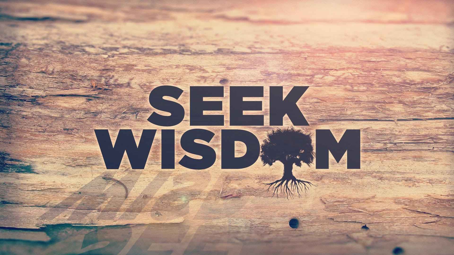 Seek Wisdom image